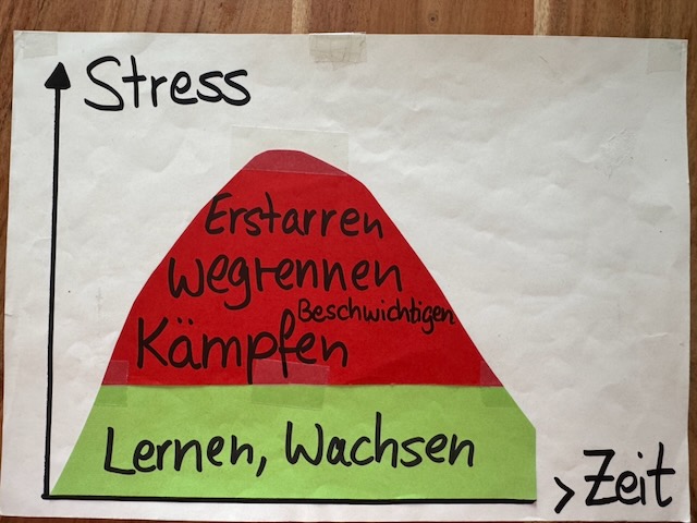 Handzeichnung zum Regulationsbedarf unter starkem Stress und dazu, vor wichtigen Entscheidungen wieder in einen regulierteren Zustand zu kommen.
