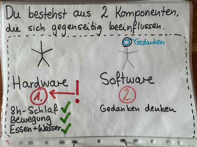Handzeichnung dazu, dass körperliche Grundbedürfnisse wie Schlaf, Bewegung, Essen und Wasser unsere Gedanken und unsere Regulationsfähigkeit beeinflussen.